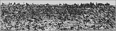 Повал леса, 1908 г.