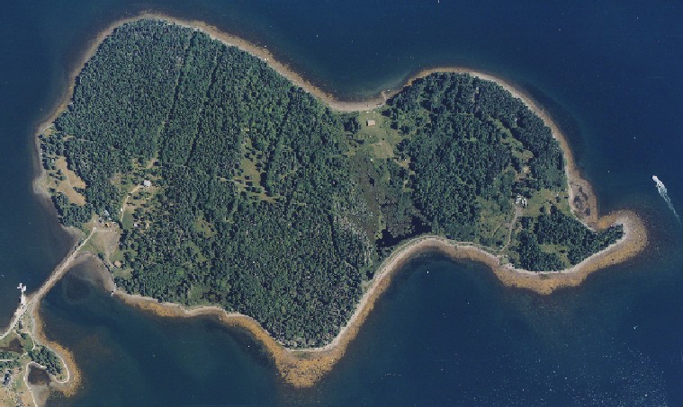 Остров Оук, фотография из космоса.