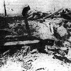 Яма, где были обнаружены останки Гитлера