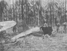 Обломки сбитого над Гуадалканалом истребителя "Зеро"